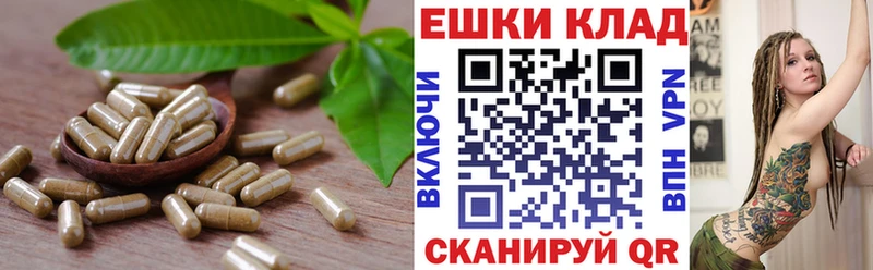 ЭКСТАЗИ DUBAI  закладка  Мамадыш 