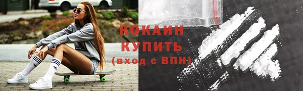 ГАЛЛЮЦИНОГЕННЫЕ ГРИБЫ Корсаков