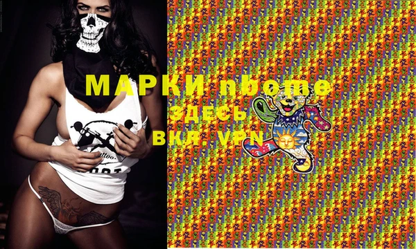 ГАЛЛЮЦИНОГЕННЫЕ ГРИБЫ Корсаков