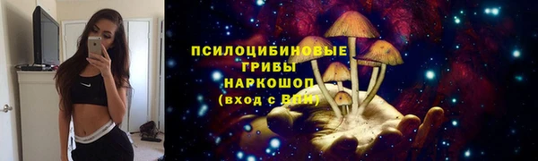 ECSTASY Костерёво