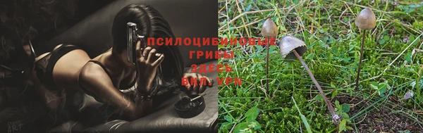 мдпв Коряжма