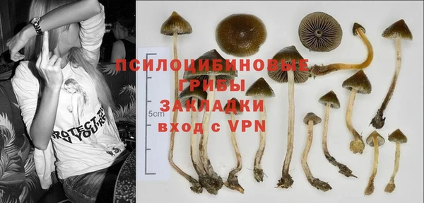 синтетический гашиш Козловка