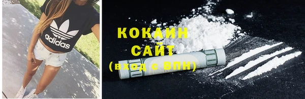 ECSTASY Костерёво